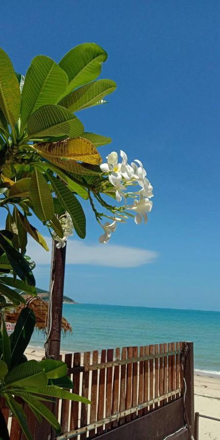 Lipa Bay Resort Lipa Noi Eksteriør bilde